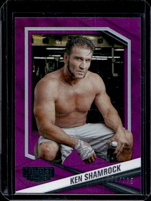 2025 Panini Combat Anthology Professional Fighters League PFL #18 Purple /125