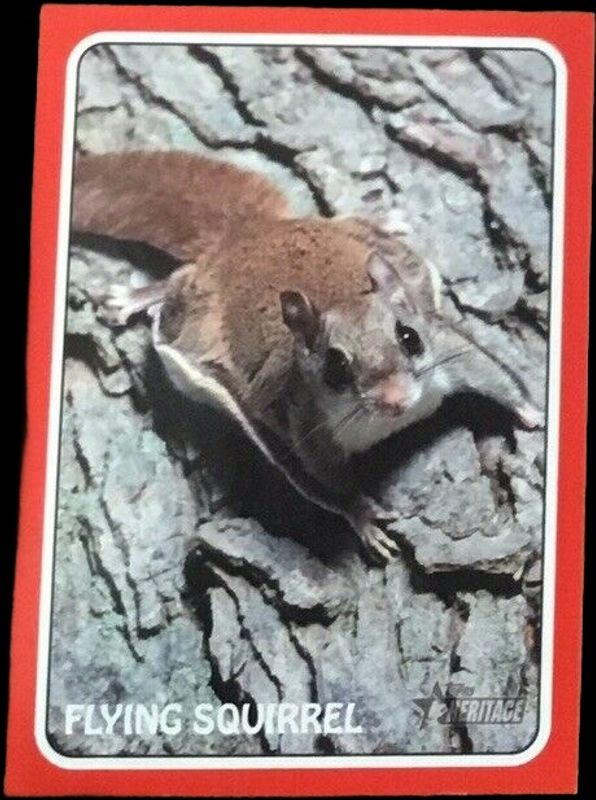 2024 Topps Heritage #75Z-10 1975 Topps Zoo's Who Stick Ons - Red