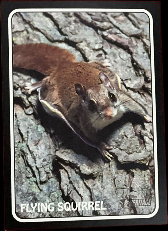 2024 Topps Heritage #75Z-10 1975 Topps Zoo's Who Stick Ons