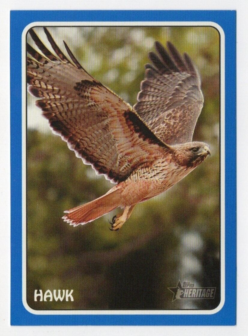 Hawk Baseball Cards Price Guide - Sports Card Investor