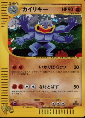 2001 Japanese Web #48/48 1st Edition Holo