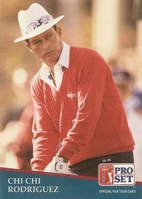 1991 Pro Set PGA Tour #193 Base