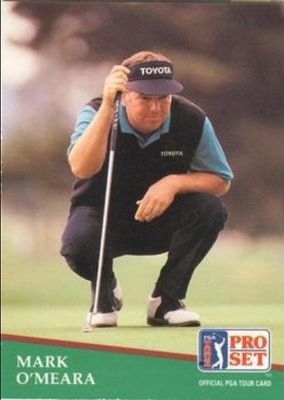 1991 Pro Set PGA Tour #113 Base