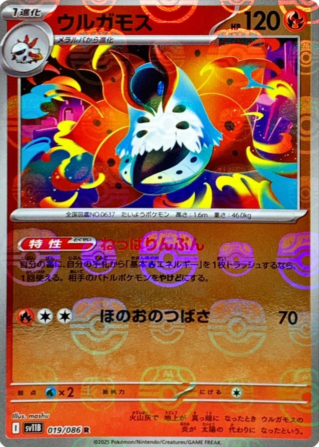 1146234?ts=1750020498923