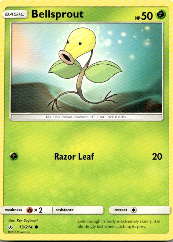 2019 Sun & Moon: Unbroken Bonds #013/214 Base