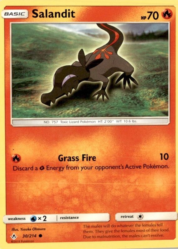 2019 Sun & Moon: Unbroken Bonds #030/214 Base