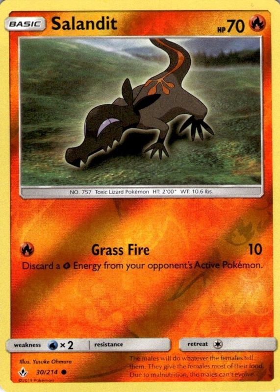 2019 Sun & Moon: Unbroken Bonds #030/214 Reverse Holo