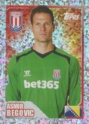 2014 Topps Merlin Premier League Stickers #405 Base