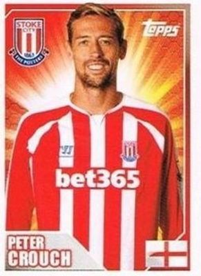 2014 Topps Merlin Premier League Stickers #420 Base
