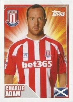 2014 Topps Merlin Premier League Stickers #416 Base