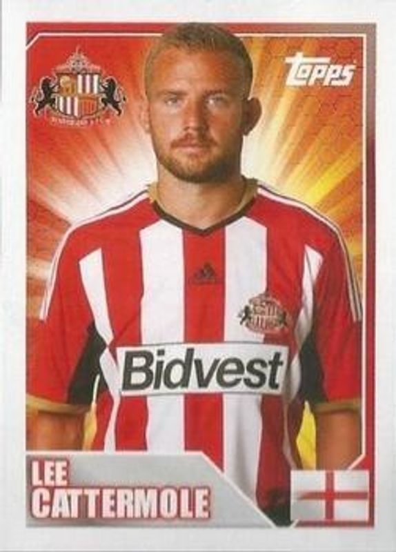 2014 Topps Merlin Premier League Stickers #438 Base