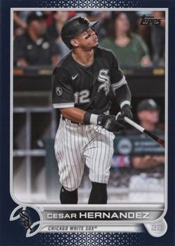 2022 Topps #28 Royal Blue