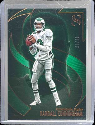2025 Silhouette #31 Bronze /49