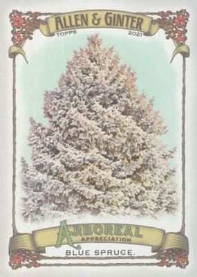 2021 Topps Allen & Ginter #AA-1 Arboreal Appreciation