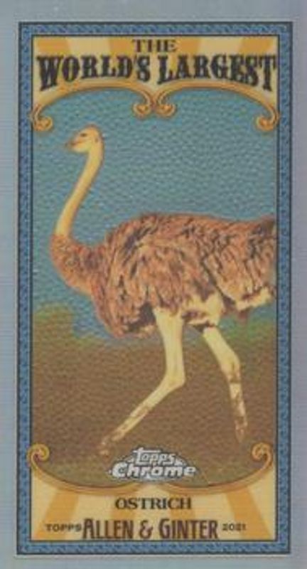 2021 Topps Allen & Ginter Chrome #MWL-21 Mini World’s Largest