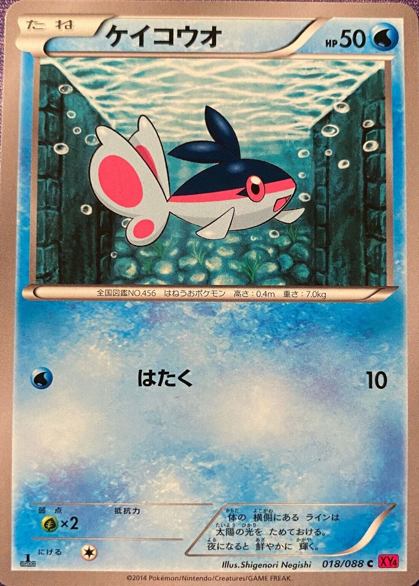 finneon pokemon card 040/196 (Lost Origin) (English)  Cham Gaming Pokmon Hit Points50 HP Form Finneon (Space-Time Smackdown #42/208, 1-Diamond)