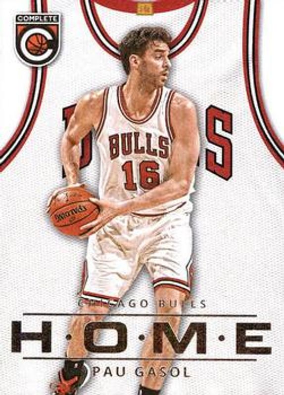 Pau Gasol 2015 Panini Complete #17 Home RAW