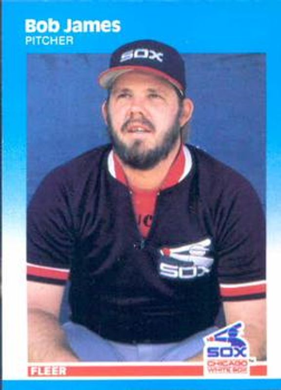 1987 Fleer #501 Base