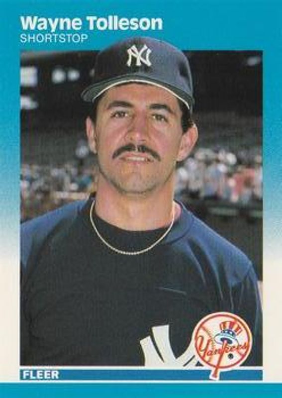 1987 Fleer #118 Base