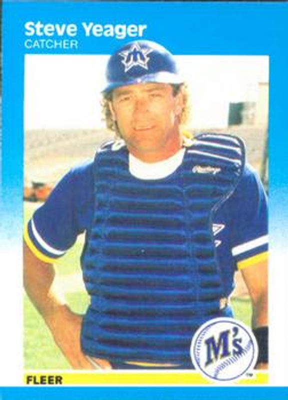 1987 Fleer #599 Base