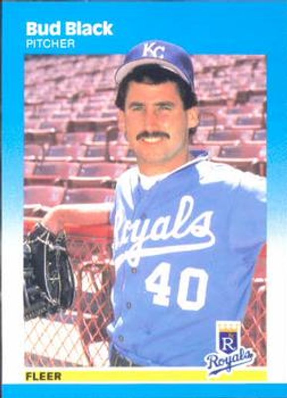 1987 Fleer #365 Base