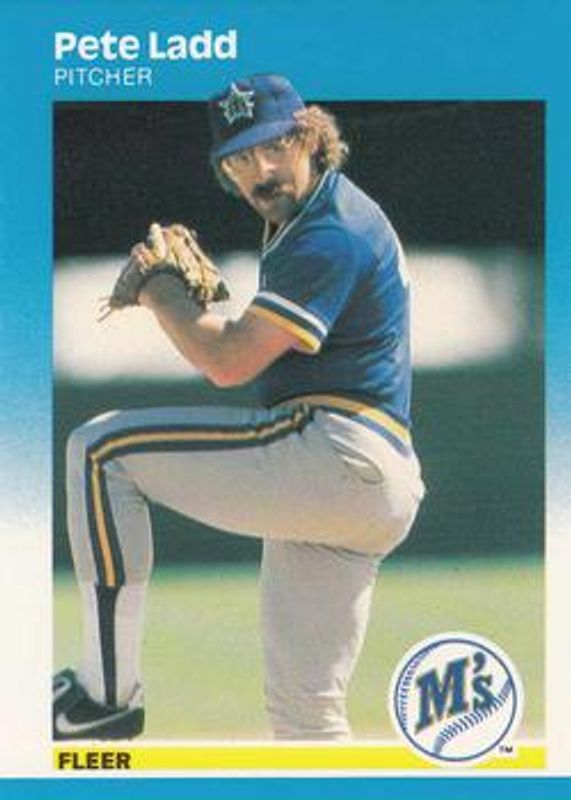 1987 Fleer #588 Glossy
