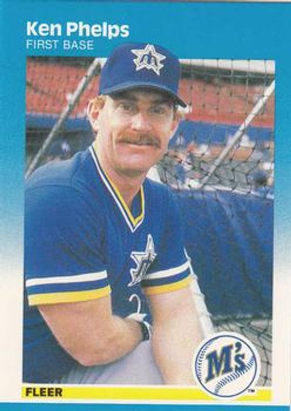 1987 Fleer #593 Glossy