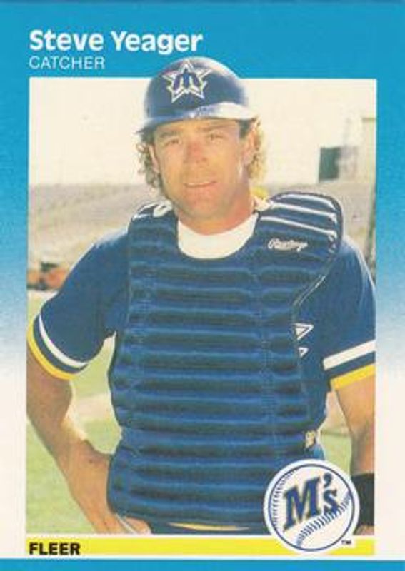 1987 Fleer #599 Glossy