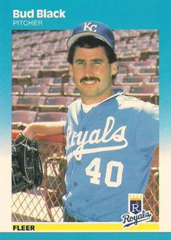 1987 Fleer #365 Glossy