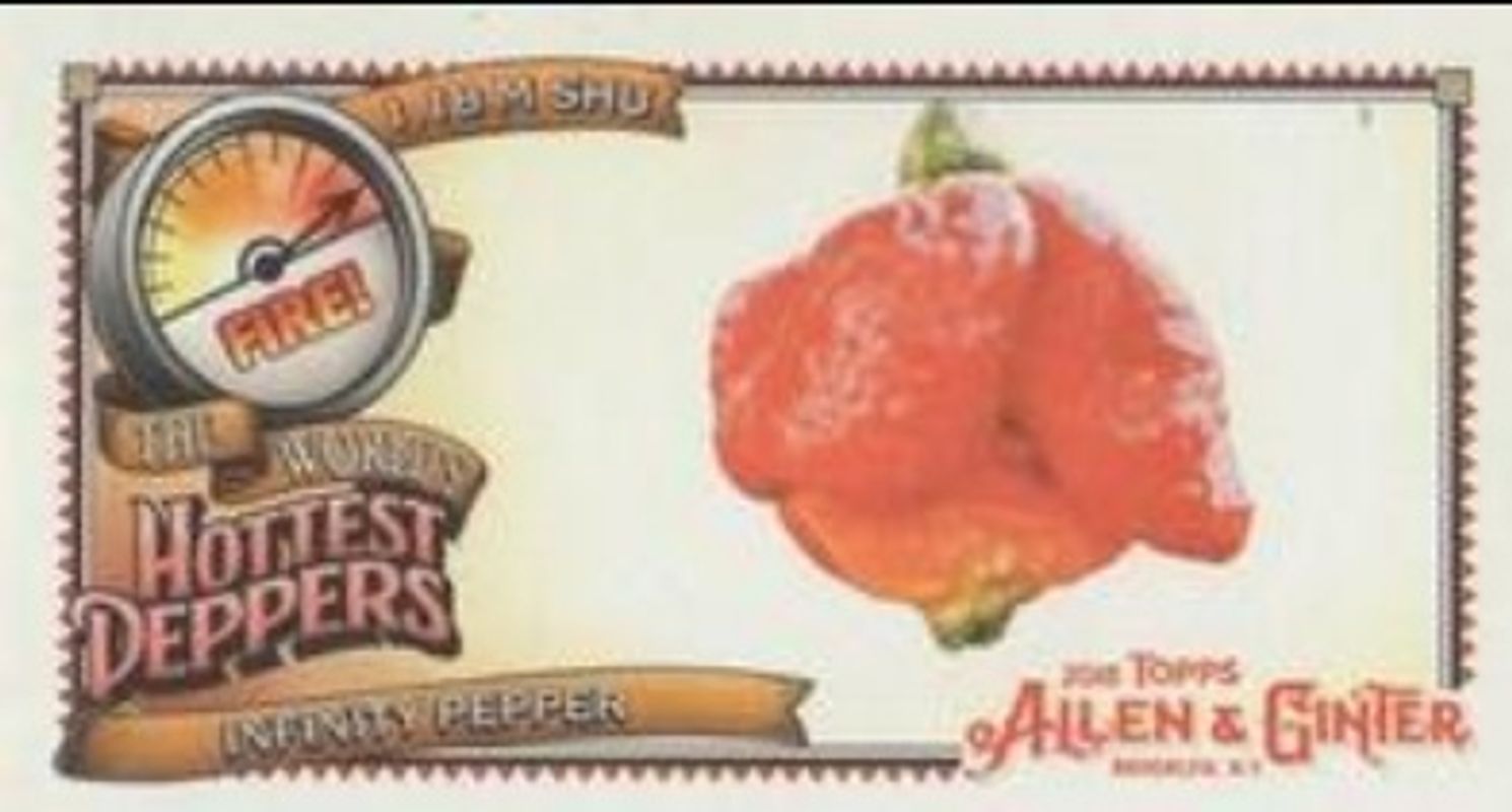 Infinity Pepper Baseball Cards Price Guide - Sports Card Investor