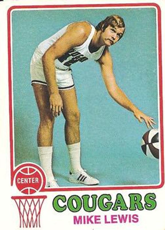 1973 Topps #219 Base