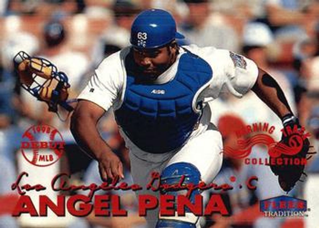 1999 Fleer Tradition #246W Warning Track Collection