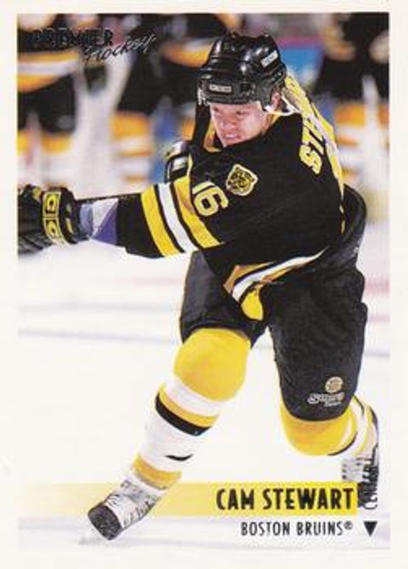 1994 O-Pee-Chee Premier #111 Base