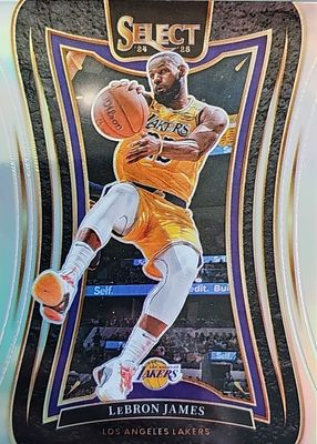 2024 Select #310 Mezzanine Silver