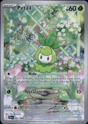 2025 Scarlet & Violet: Black Bolt #091/086 Illustration Rare