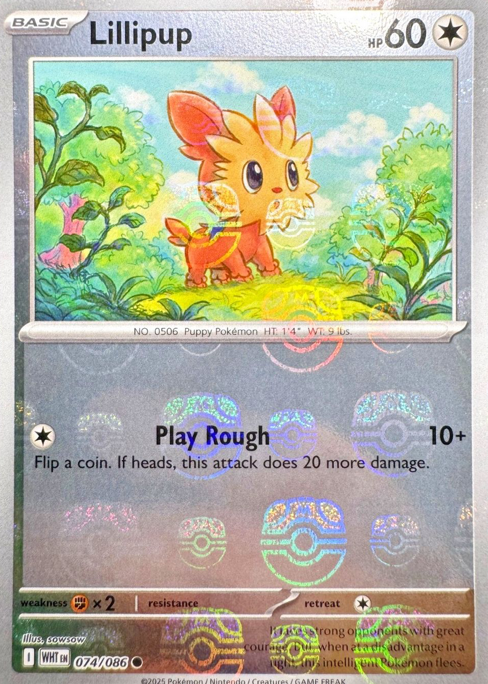 lillipup pokemon card value Lillipup 133/203