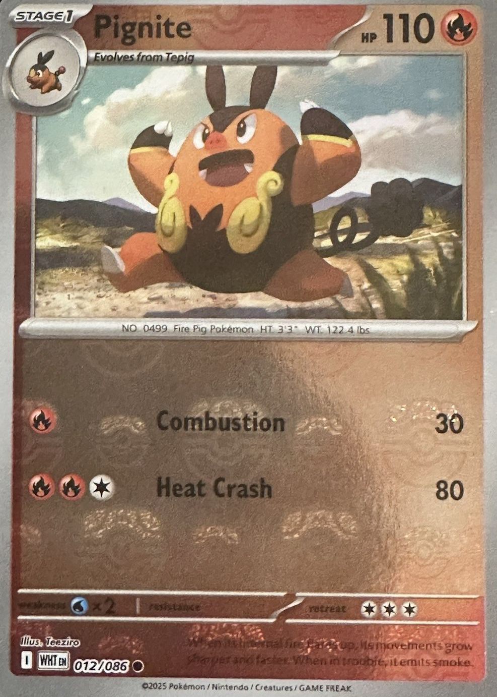 pignite pokemon card value Pokmon TCG Cards for sale Find Pignite 026/113 Pignite #17 Prices | Pokemon