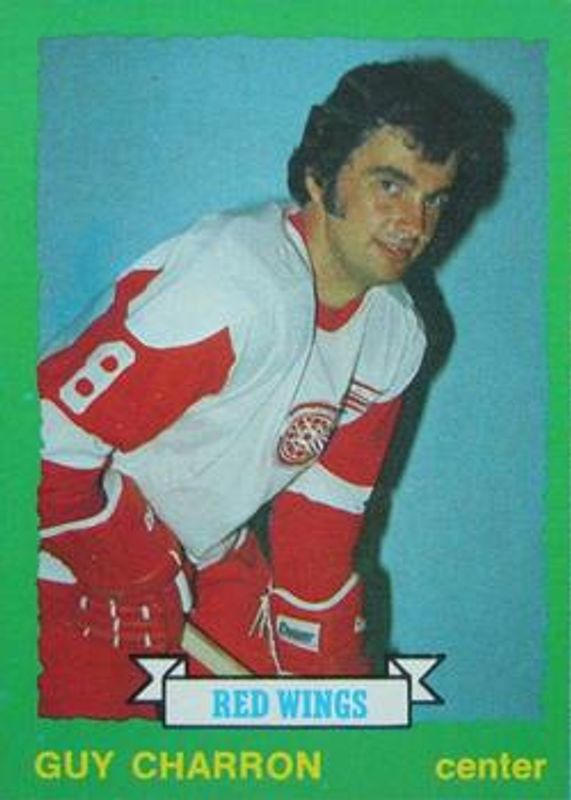 1973 O-Pee-Chee #220 Base