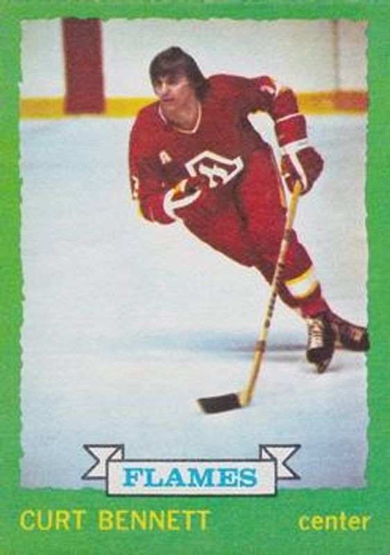 1973 O-Pee-Chee #149 Light Back