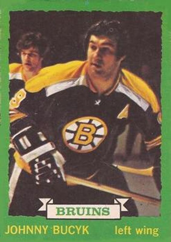 1973 O-Pee-Chee #147 Light Back