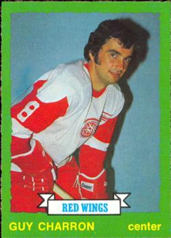 1973 O-Pee-Chee #220 Light Back