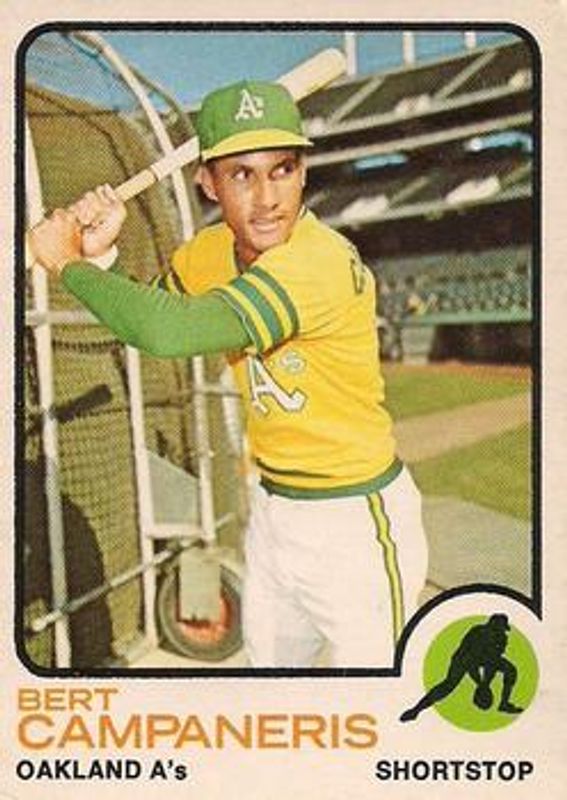 1973 O-Pee-Chee #295 Base