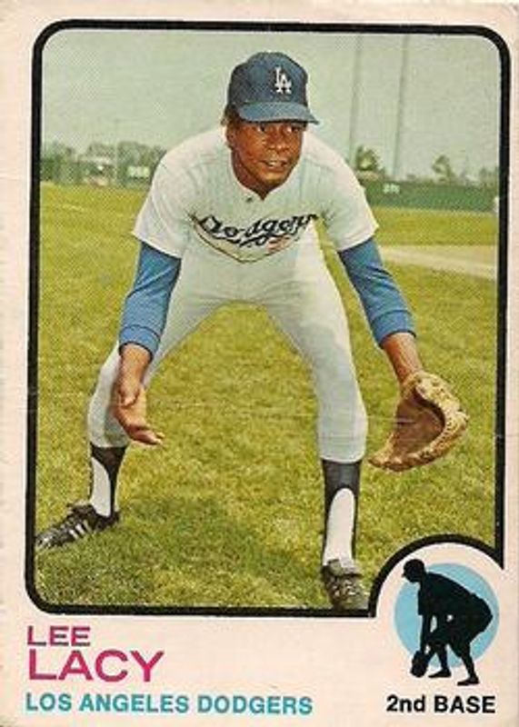 1973 O-Pee-Chee #391 Base