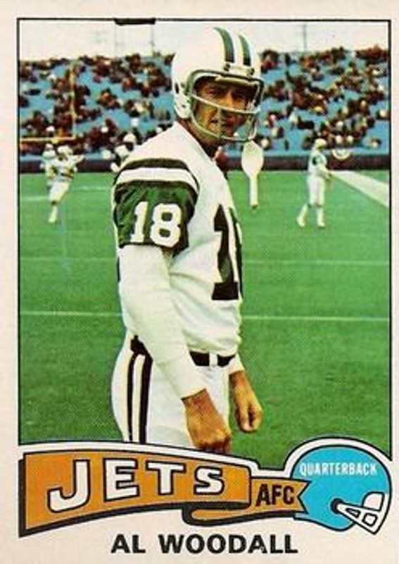 1975 Topps #287 Base