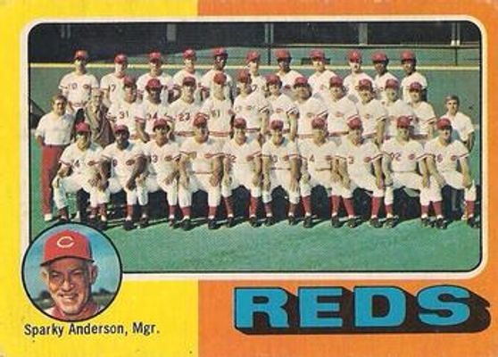 1975 O-Pee-Chee #531 Base