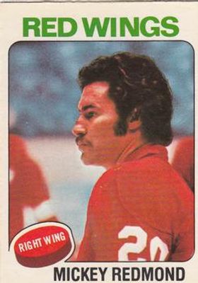 1975 O-Pee-Chee #120 Base