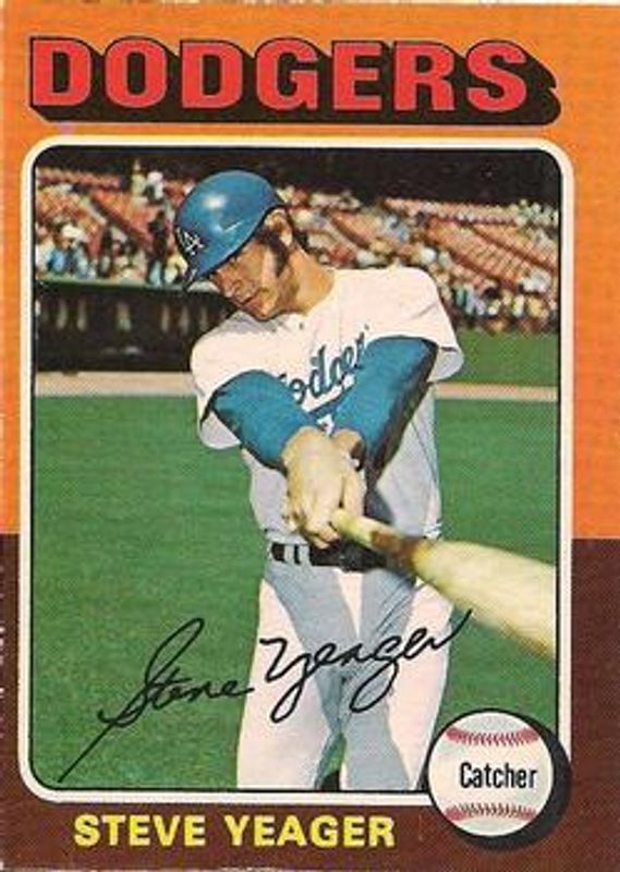 1975 O-Pee-Chee #376 Base