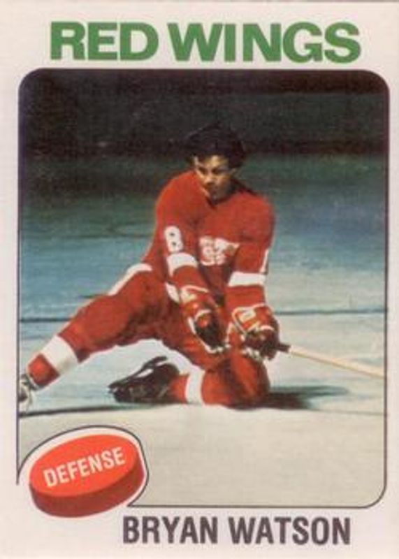 1975 O-Pee-Chee #31 Base
