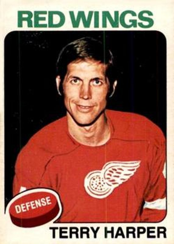 1975 O-Pee-Chee #255 Base