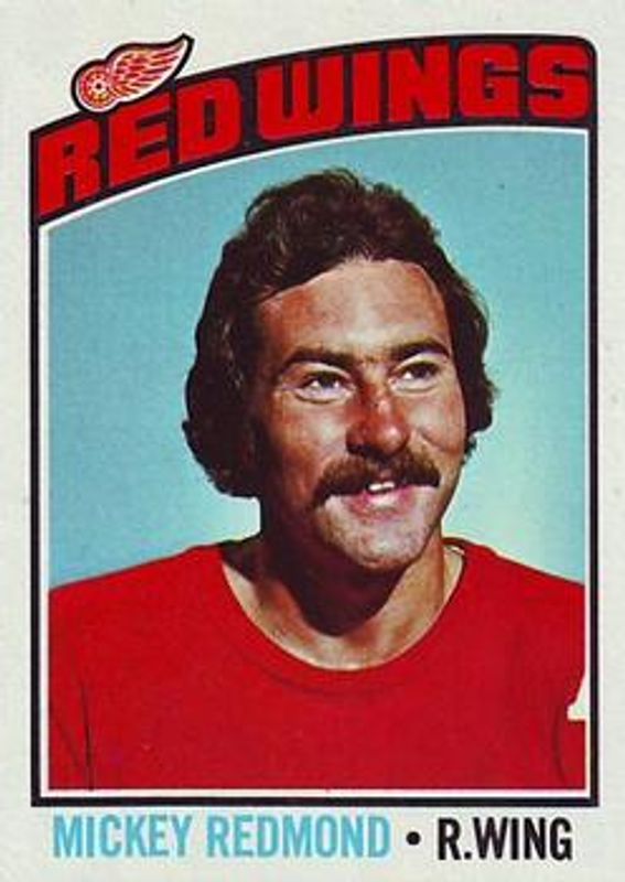 1976 Topps #243 Base